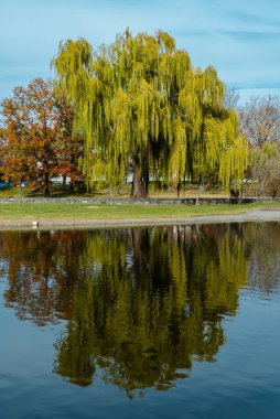 Göl ve suda yansıması olan Anayasa Bahçeleri. Washington D.C. Birleşik Devletleri.