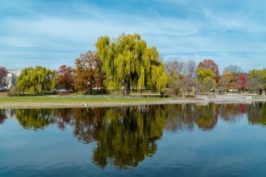Göl ve suda yansıması olan Anayasa Bahçeleri. Washington D.C. Birleşik Devletleri.