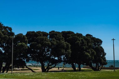 Matosinhos sahilinde deniz manzaralı panoramik manzara ve şehrin binaları. Matosinhos, Portekiz