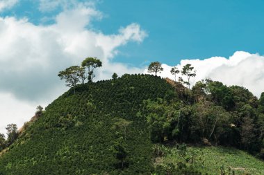 Jerico 'nun doğal ve kırsal manzarası, Antioquia dağları ve mavi gökyüzü. Kolombiya.