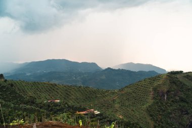 Cauca nehri kanyonu ve bulutlu gökyüzü manzaralı doğal manzara. Kolombiya. 