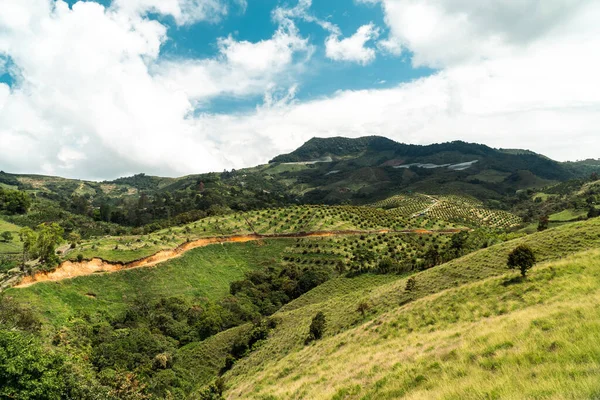 Góra Plantacją Awokado Wiejskim Krajobrazem Jerico Antioquia Kolumbia — Zdjęcie stockowe