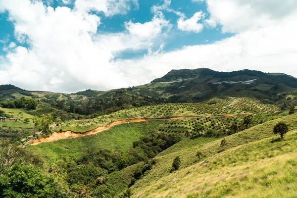 Гора Плантацией Авокадо Сельским Пейзажем Херико Антиокия Колумбия — стоковое фото