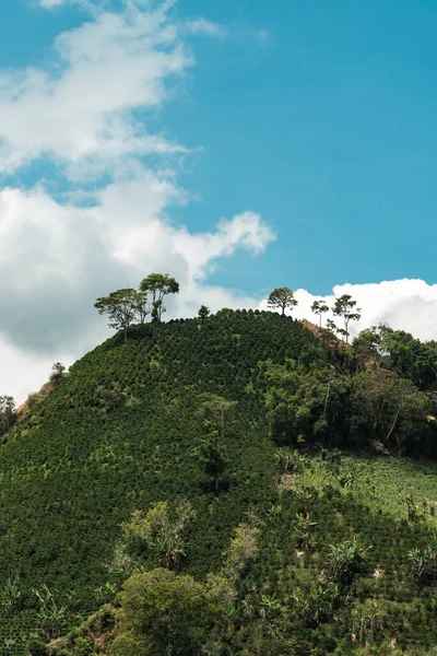 Naturalny Wiejski Krajobraz Jerico Antioquia Górami Błękitnym Niebem Kolumbia — Zdjęcie stockowe