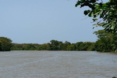 Nehirde doğal panoramik manzaralı tekneler. Uraba, Kolombiya.