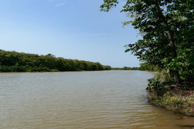 Nehirde doğal panoramik manzaralı tekneler. Uraba, Kolombiya.