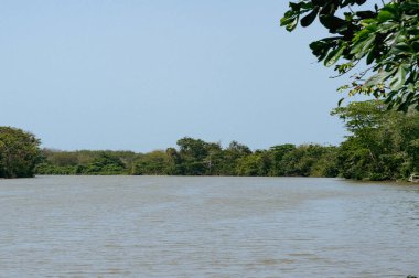 Nehirde doğal panoramik manzaralı tekneler. Uraba, Kolombiya.