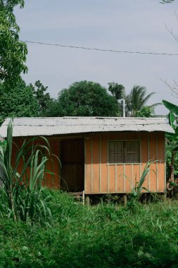 Ormanın ortasındaki evler ve cephesi. Kolombiya. 