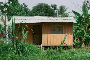 Ormanın ortasındaki evler ve cephesi. Kolombiya. 