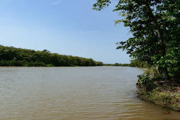 stock image Boats on the river with natural panoramic landscape. Uraba, Colombia.