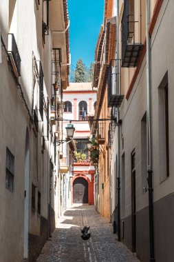 Granada, İspanya. 14 Nisan 2022: Granada şehir merkezinin mimarisi bir yaz günü ve mavi gökyüzü.