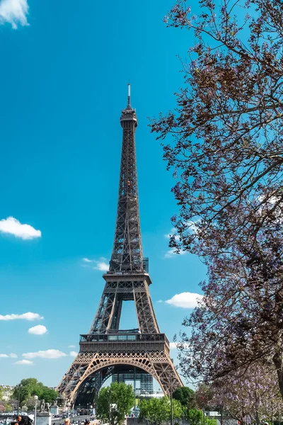 Eiffel Tower Paris Francia — Foto Stock