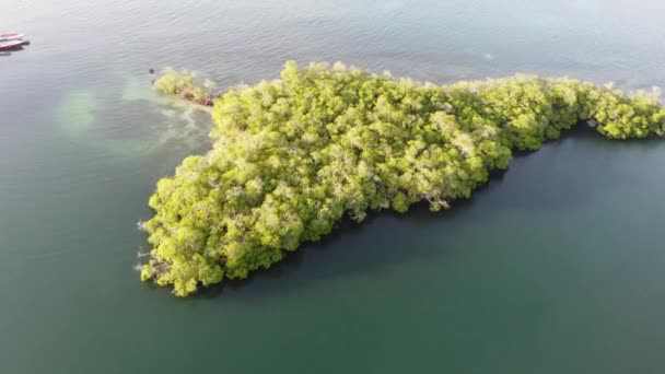 Parque Nacional Coral Com Vista Aérea Colômbia — Vídeo de Stock