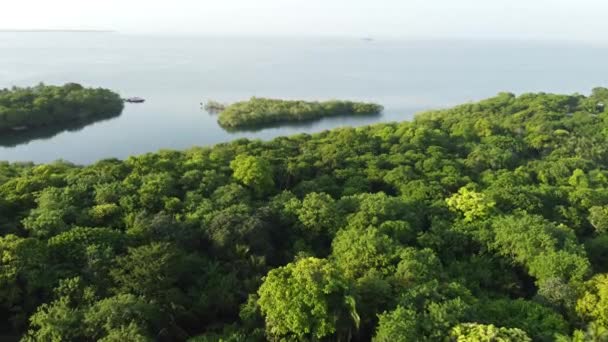 Parque Nacional Coral Com Vista Aérea Colômbia — Vídeo de Stock