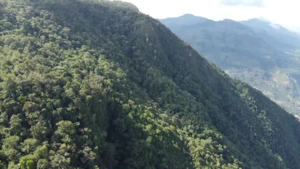 Εναέρια Τοπίο Της Κολομβίας Ζούγκλα Και Βουνά Της Κολομβίας — Αρχείο Βίντεο