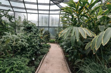 Bogot, Kolombiya. 11 Mayıs 2023: Şehrin botanik bahçesindeki tropikaryumun içi.