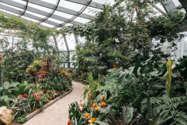 Bogot, Kolombiya. 11 Mayıs 2023: Şehrin botanik bahçesindeki tropikaryumun içi.