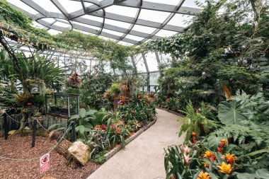 Bogot, Kolombiya. 11 Mayıs 2023: Şehrin botanik bahçesindeki tropikaryumun içi.