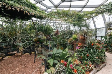 Bogot, Kolombiya. 11 Mayıs 2023: Şehrin botanik bahçesindeki tropikaryumun içi.