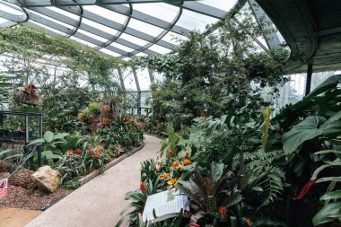 Bogot, Kolombiya. 11 Mayıs 2023: Şehrin botanik bahçesindeki tropikaryumun içi.