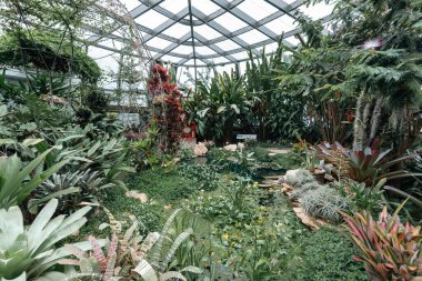 Bogot, Kolombiya. 11 Mayıs 2023: Şehrin botanik bahçesindeki tropikaryumun içi.