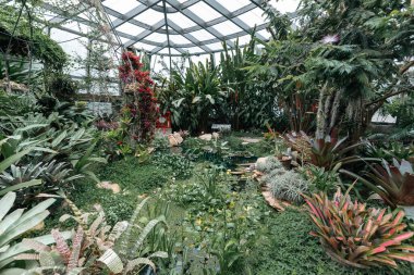 Bogot, Kolombiya. 11 Mayıs 2023: Şehrin botanik bahçesindeki tropikaryumun içi.