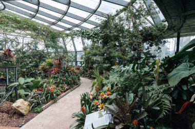 Bogot, Kolombiya. 11 Mayıs 2023: Şehrin botanik bahçesindeki tropikaryumun içi.