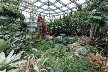 Bogot, Kolombiya. 11 Mayıs 2023: Şehrin botanik bahçesindeki tropikaryumun içi.