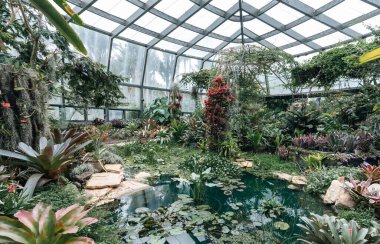 Bogot, Kolombiya. 11 Mayıs 2023: Şehrin botanik bahçesindeki tropikaryumun içi.