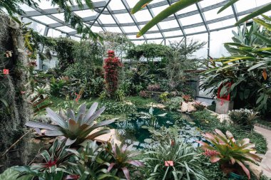 Bogot, Kolombiya. 11 Mayıs 2023: Şehrin botanik bahçesindeki tropikaryumun içi.