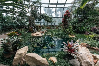 Bogot şehrinin botanik bahçesindeki renkli çiçeklerin arka planı