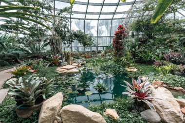 Bogot, Kolombiya. 11 Mayıs 2023: Şehrin botanik bahçesindeki tropikaryumun içi.