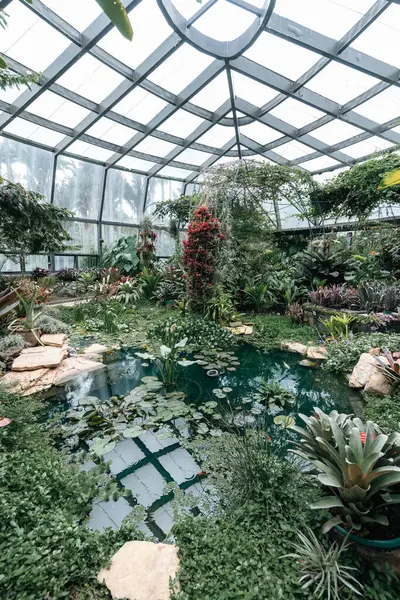 Bogot, Kolombiya. 11 Mayıs 2023: Şehrin botanik bahçesindeki tropikaryumun içi.