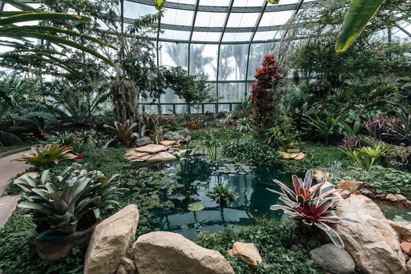Bogot, Colombia. May 11, 2023:Interior of the tropicarium in the city's botanical garden.