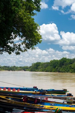 Meta, Kolombiya. 22 Eylül 2023 'te Guayabero Nehri' nin kıyısındaki ormanların manzarası. Kolombiya. 
