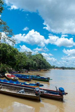 Meta, Kolombiya. 22 Eylül 2023 'te Guayabero Nehri' nin kıyısındaki ormanların manzarası. Kolombiya. 