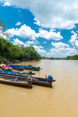 Meta, Kolombiya. 22 Eylül 2023 'te Guayabero Nehri' nin kıyısındaki ormanların manzarası. Kolombiya. 