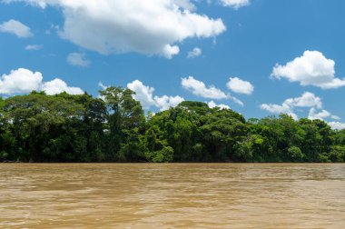 Meta, Kolombiya. 22 Eylül 2023 'te Guayabero Nehri' nin kıyısındaki ormanların manzarası. Kolombiya. 