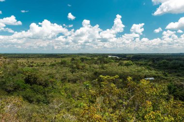 La Macarena Ulusal Parkı 'nda mavi gökyüzü ve bitki örtüsüyle panoramik manzara. Kolombiya.