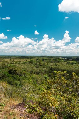 La Macarena Ulusal Parkı 'nda mavi gökyüzü ve bitki örtüsüyle panoramik manzara. Kolombiya.