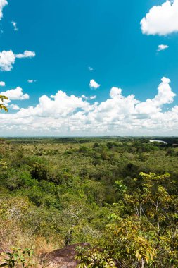 La Macarena Ulusal Parkı 'nda mavi gökyüzü ve bitki örtüsüyle panoramik manzara. Kolombiya.
