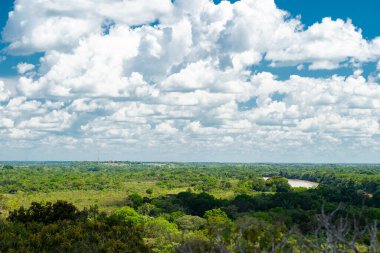 La Macarena Ulusal Parkı 'nda mavi gökyüzü ve bitki örtüsüyle panoramik manzara. Kolombiya.