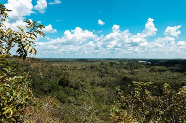 La Macarena Ulusal Parkı 'nda mavi gökyüzü ve bitki örtüsüyle panoramik manzara. Kolombiya.