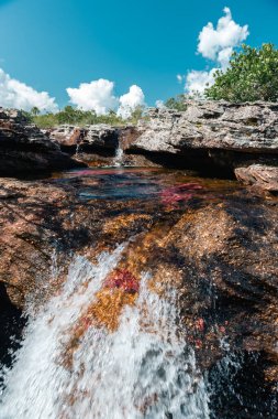Meta, Kolombiya. Eylül 2023: La Macarena Ulusal Parkı 'ndaki Cao Cristales nehrinin manzarası.
