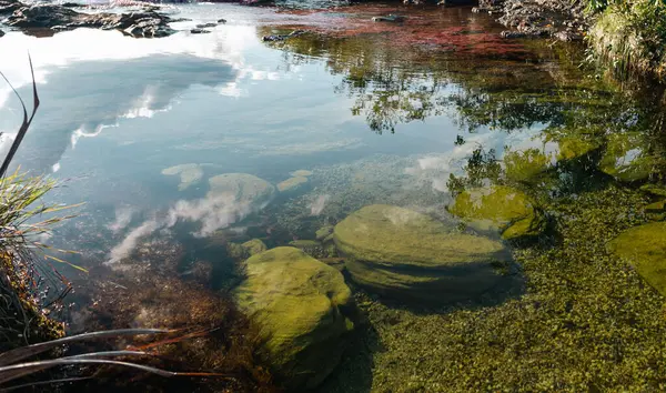 La Macarena Ulusal Parkı 'ndaki Cao Cristales nehrinin manzarası. Kolombiya. 