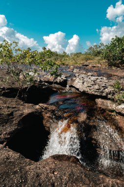 La Macarena Ulusal Parkı 'ndaki Cao Cristales nehrinin manzarası. Kolombiya. 