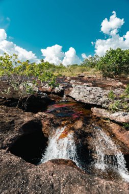 La Macarena Ulusal Parkı 'ndaki Cao Cristales nehrinin manzarası. Kolombiya. 