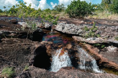 La Macarena Ulusal Parkı 'ndaki Cao Cristales nehrinin manzarası. Kolombiya. 