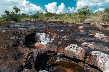 La Macarena Ulusal Parkı 'ndaki Cao Cristales nehrinin manzarası. Kolombiya. 