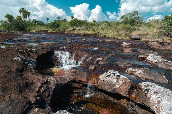 La Macarena Ulusal Parkı 'ndaki Cao Cristales nehrinin manzarası. Kolombiya. 